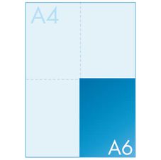 Equipo de la empresa