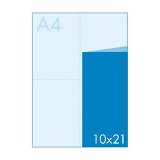 Equipo de la empresa